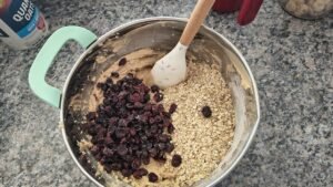 folding in oats and craisins to mixing bowl