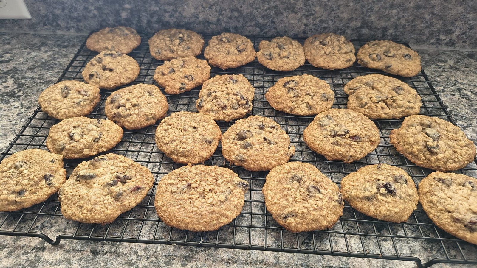 Freshly baked homemade oatmeal craisin cookies on a cooling rack